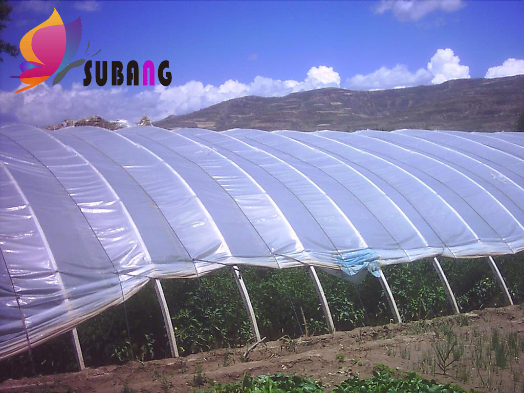 1571886846107923.jpg 28-163194868.jpg